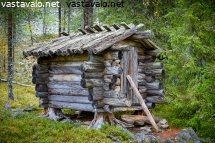 lappilainen-puuvaja