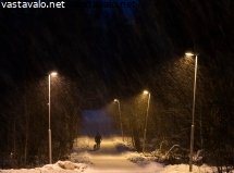 koiran-lenkittaja