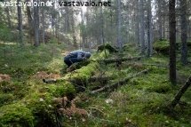 luonnontutkimus