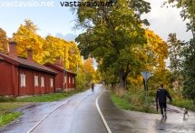 yksikaistainen-kylatie