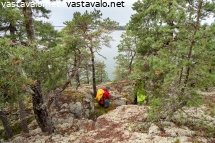 sammaltutkija-saaristomerella