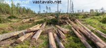 metsateollisuuden-alkutuotantoa