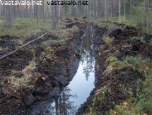 kasvun-maksimointi-ilmaston-kustannuksella