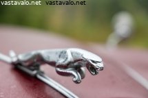 jaguar-mark-ii-keulamerkki