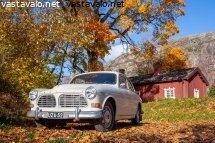 volvo-amazon