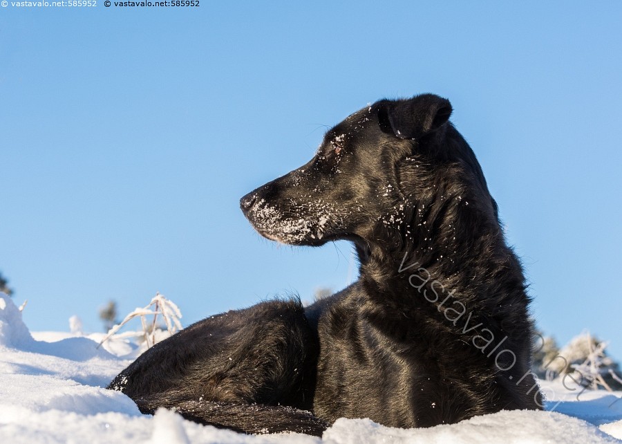 teini-ikäinen poika cum porno