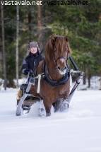 Jodi Taylor anaali seksiä