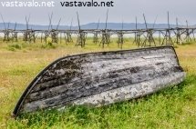 hylatty-vene