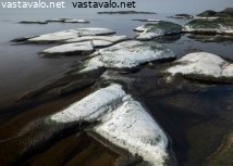 kuivunutta-levaa