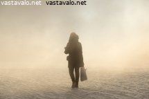 kauppareissulla