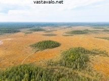 isoneva