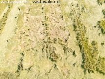 lakoontunutta-viljaa