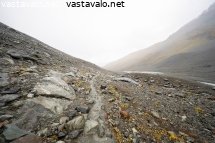 syksyisen-harmaa-saa