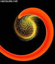 villi-kaktus