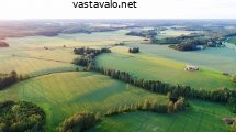 pellot-iltaauringon-valossa