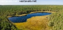 hausjarven-kalatonlammi