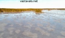 vetta-jaalla