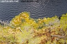 soinen-ranta