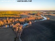 puujoki