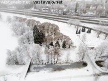hameensaarenpuisto