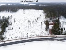 hakkuuaukko