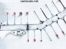vierasvenelaituri