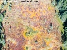 suon-vareja
