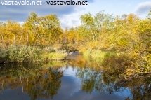 tsahkaljoki