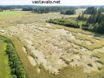 lakoontunutta-viljaa