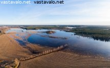 kytaja-neitsytsaari