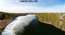 kivenpuulammi