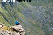 koiran-kanssa-nakoalapaikalla