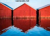 venevajat