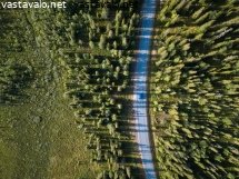 auto-asfalttitiella