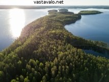 petrisaari