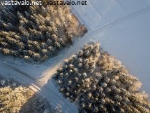 talvinen-risteys
