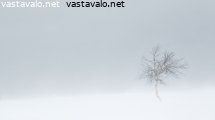 lumimyrsky-tunturissa