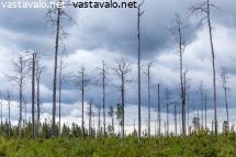pystyyn-kuivatut-haavat