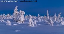 sininen-hetki-riisitunturilla