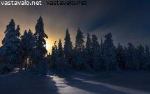 kuun-valossa
