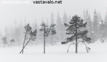suolla-pyryttaa
