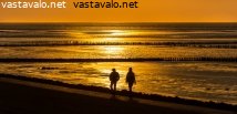 vattimeren-rannalla