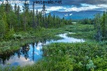saivojoki