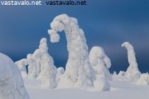 talven-valta