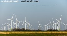 tuulivoimalat-ja-hanhiparvi