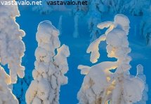 sinista-ja-valkoista