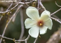 kevatta-ilmoilla