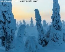 pakkassumua-riisitunturilla