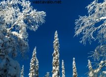 ruuhitunturin-kevattalvi