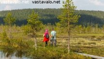 kesapaiva-hyoteikonsuolla